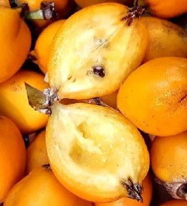 Pinguin Fruit